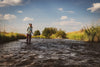 Home Water