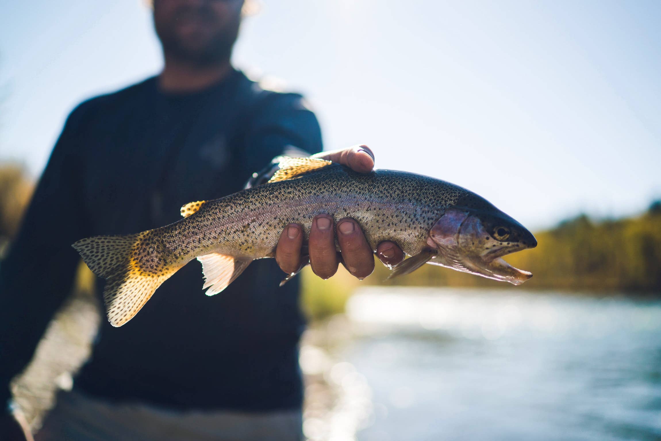 Trout Fly Tying Kit