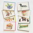 The Lake Collection - Box of 8 Note Cards