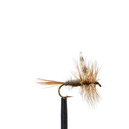 Adams Flies