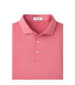 Solid Performance Jersey Polo