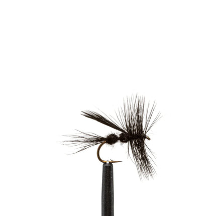 Ed's Black Ant Flies