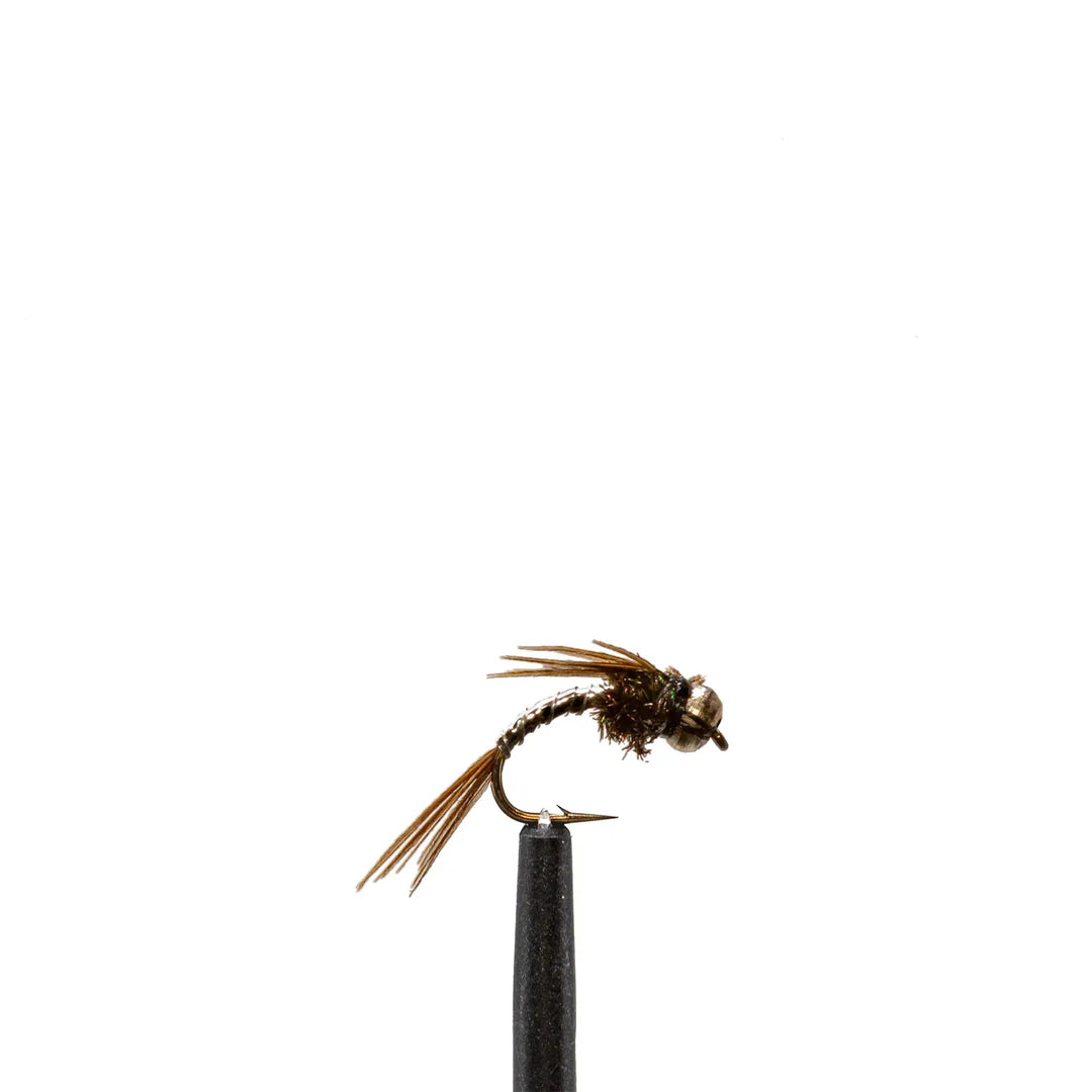 Lightning Bug Silver