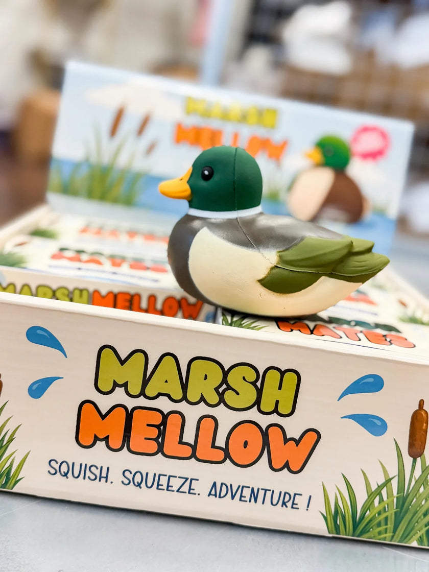 Mallard Duck Squishy