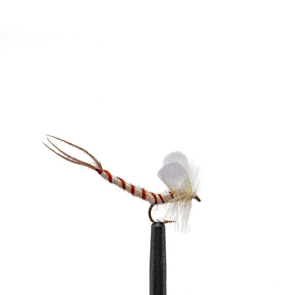 Cream Mayfly-14