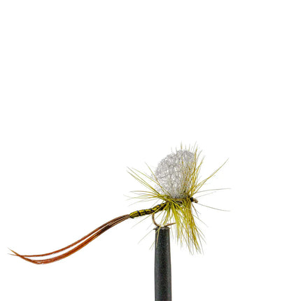 Olive Mayfly-14