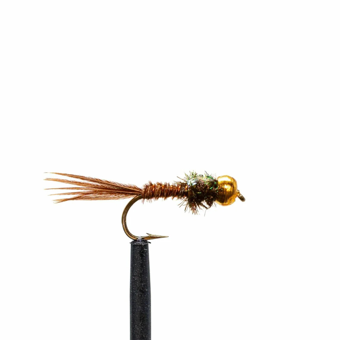 Beadhead Flashback Pheasant Tail
