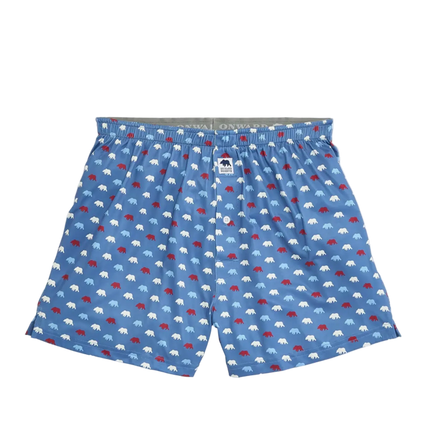 Bear Logo Performance Boxer