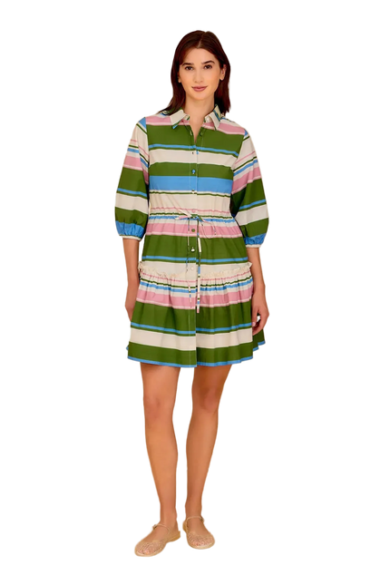 Brynn Dress, Rayas
