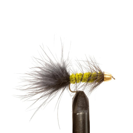 Conehead Bugger Black/Olive