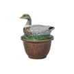 Duck Bowl with Lid - Multi