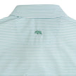 Echo Stripe Performance Polo