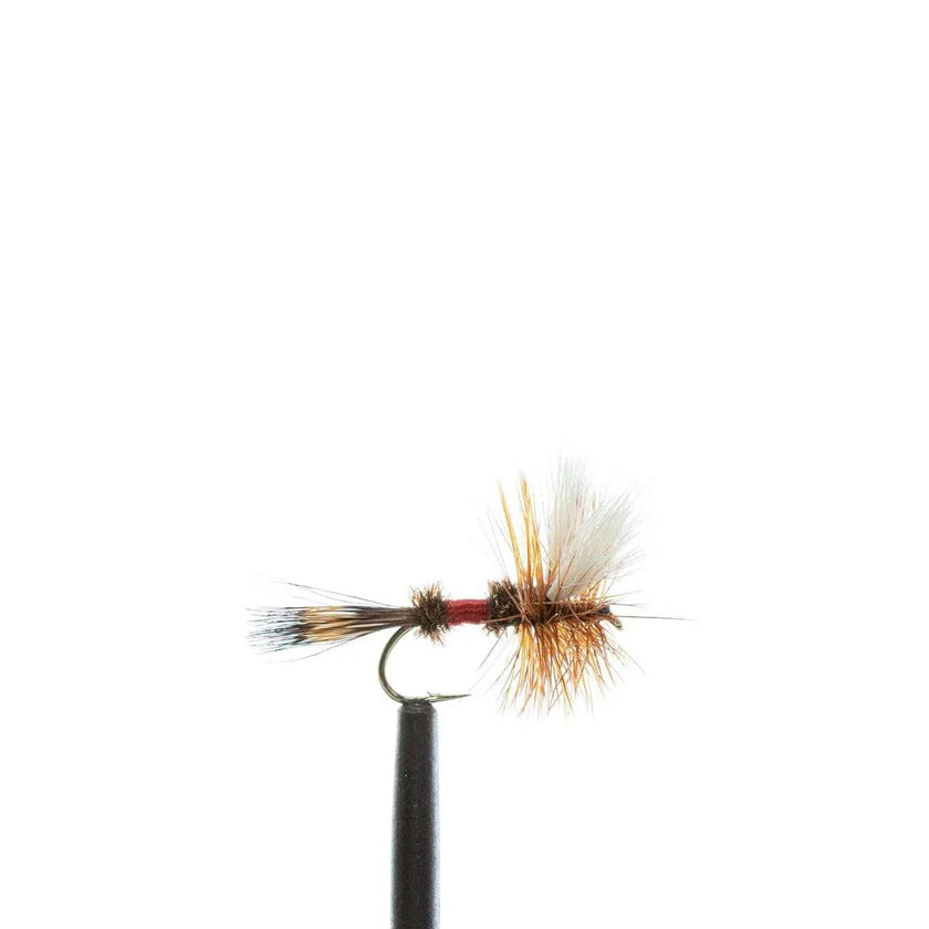 JHFLYCO-Standard-Dry-Fly-Box