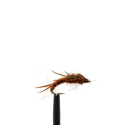 Kaufman Stone Brown