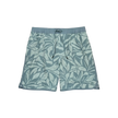 Lined Downshore Trunk