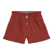 Shells Performance Boxer